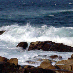 몇장 올립<b>니더</b>예