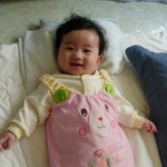 <b>분홍</b> 고양이