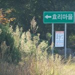 효리마을(<b>실재</b>로 존재)
