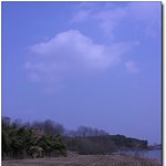 오늘 저 혼자만 <b>올리</b>내예42