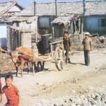 미수복지구 북녘땅의 실제. 9