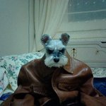 우리 <b>강지</b>