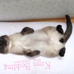 왜 그러고 <b>자니</b>?!