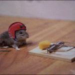 독살까지 포용한 사랑