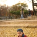 <b>지훈</b>이 사진 경복궁에서 2