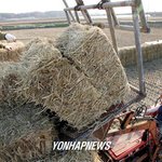 <b>늦가을</b> 농촌풍경1