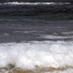 몇장 올립<b>니더</b>예2