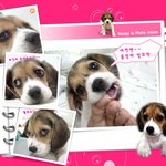 개봉박두!! <b>누</b>피6탄 드뎌 공개~~~(이제 엄마발가락 ^^)