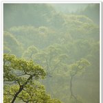주산지의 풍경