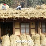 <b>초가</b>지붕의 겨울채비..