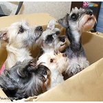 [슈통네]깐따삐야별로 <b>출발</b>~