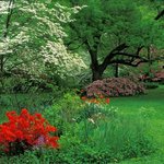 봐줄만한 배경화면 올립<b>니더</b>예17
