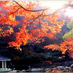 좀 더 올립<b>니더</b>예11