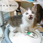 내가 <b>이집</b> 짱이야!!
