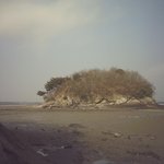 <b>안면</b>도 여행