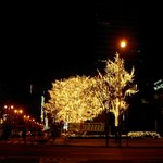 명동 을지로<b>입구</b>의 야경과 함께.......