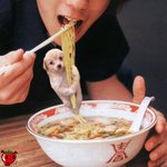<b>보신탕</b>
