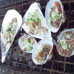 <b>조개</b>구이