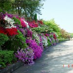 오늘 저 혼자만 <b>올리</b>내예44