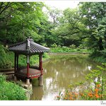 창덕궁<b>후원</b>