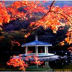 좀 더 올립<b>니더</b>예12