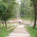 <b>평화</b>의 공원
