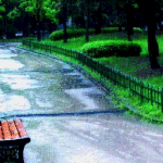 그댄 봄비를 <b>무척</b> 좋아하나요?