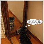<b>자아</b>를 찾아 떠나는 나나