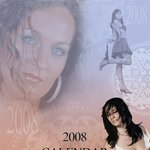 장의<b>업체</b>의 파격적인2008년 달력