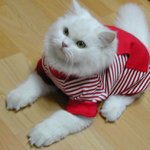 이쁜 우리 <b>시나</b>~