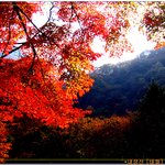 좀 더 올립<b>니더</b>예13