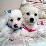 누리&amp;<b>나리</b> 데뷔샷