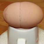 계란(<b>쌍란</b>)