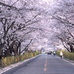 �떤�의 나라로 온 당신을 <b>환영</b>합니다