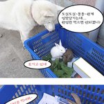 <b>안주</b>들의 대화~~ㅋ