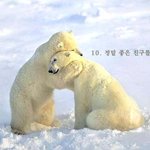 동물이 말해주는 <b>교훈</b>^^