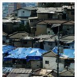 성북구 하월곡동 산2<b>번지</b>