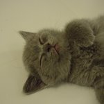 화장실 <b>바닥</b>에서