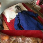 13년간 썩지않은 <b>시신</b>