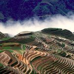중국 계단식 <b>논밭</b>