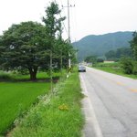 <b>황산</b>의여름