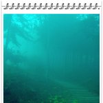 <b>산책</b>길-초록은 나무에 스미고...