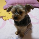 우리 <b>단비</b>입니다.