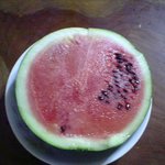 친절한 <b>수박씨</b>
