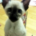 나도 <b>xx</b>칩 먹고싶어요~~~