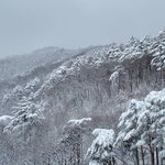 올리시는 분이 많치안아서 올립<b>니더</b>예2