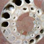 동 표면 <b>무늬</b> 01