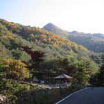또 올립<b>니더</b>예12