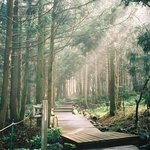한라산 <b>입구</b> 바탕화면으로 쓰세요^^