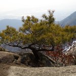 봐줄만해서 올립<b>니더</b>예39